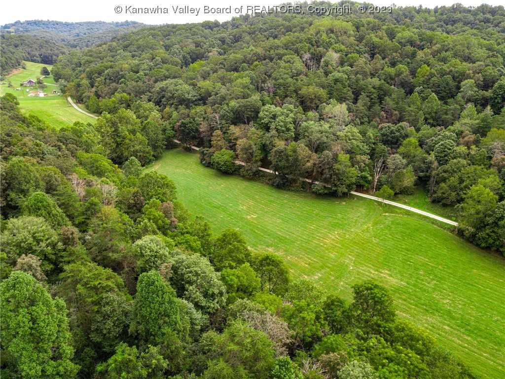 0 Route 1 Medina Road Ravenswood, WV 26164 - Photo 8 of 16 Gallery Image 8