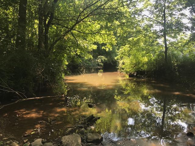 1900 Grants Chapel Road Adams, TN 37010 - Photo 2 of 30 Gallery Image 2
