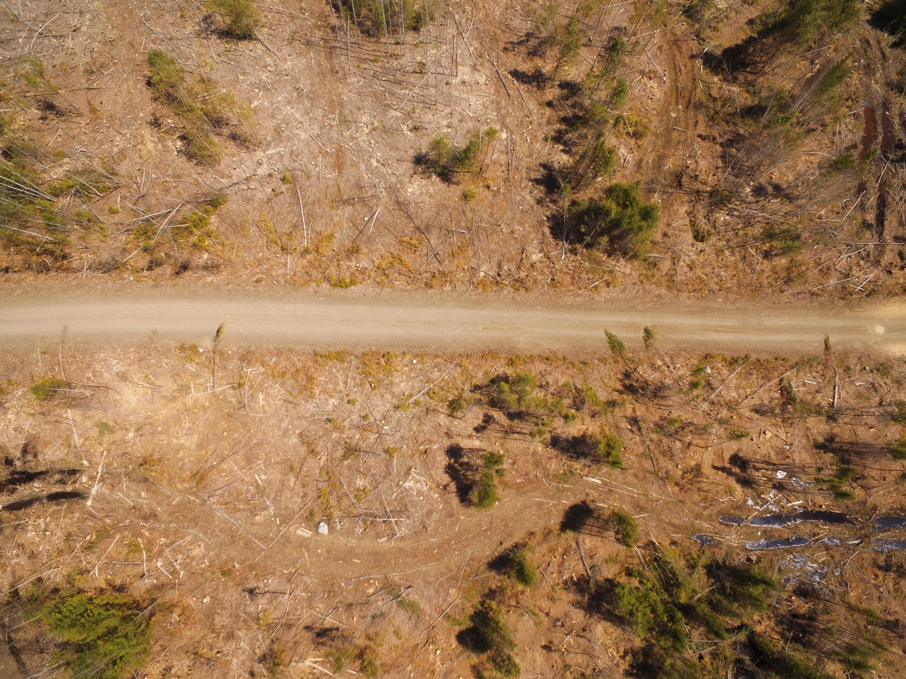 Tbd Goulds Ridge Road Passadumkeag, ME 04475 - Photo 20 of 27 DJI_0112