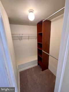1983 Addison Road South District Heights, MD 20747 - Photo 6 of 13 Nice size closet in Primary