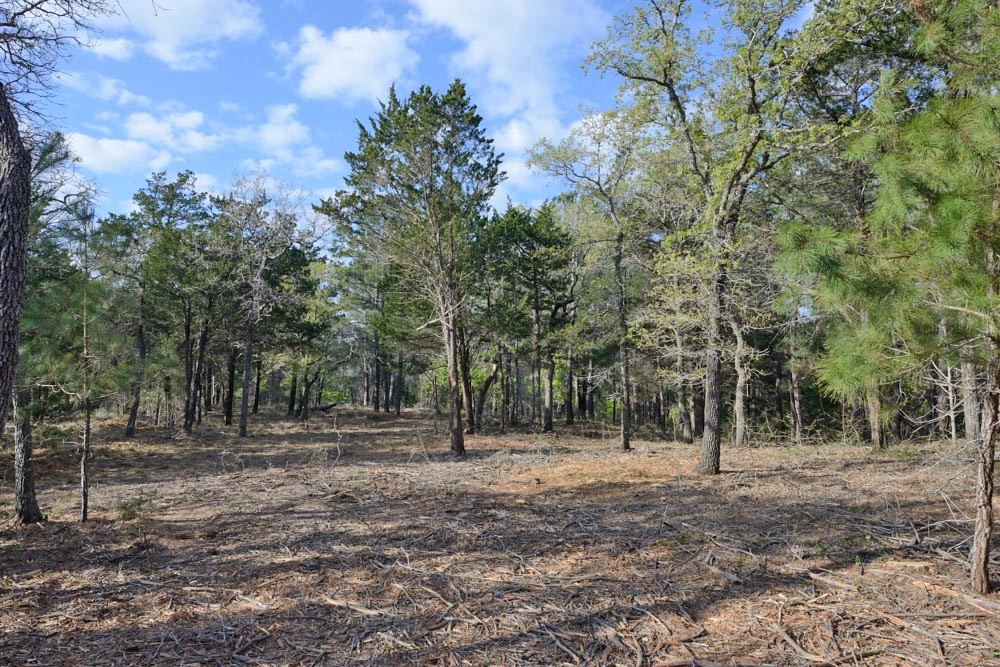 Tbd Lot 3 Tbd Road Rosanky, TX 78953 - Photo 1 of 1