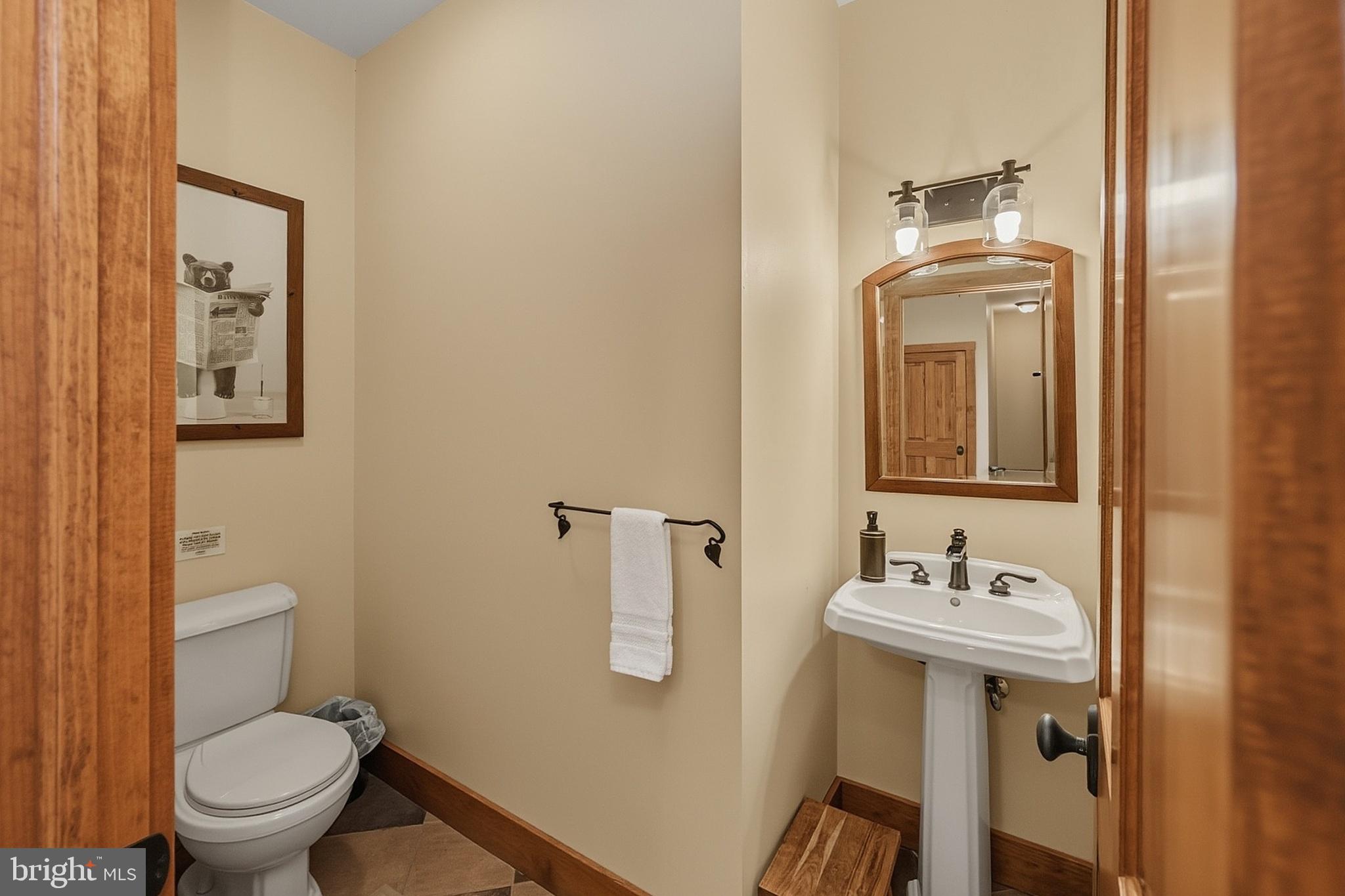 185 Ruta Lane Swanton, MD 21561 - Photo 80 of 81 a bathroom with a sink toilet and mirror