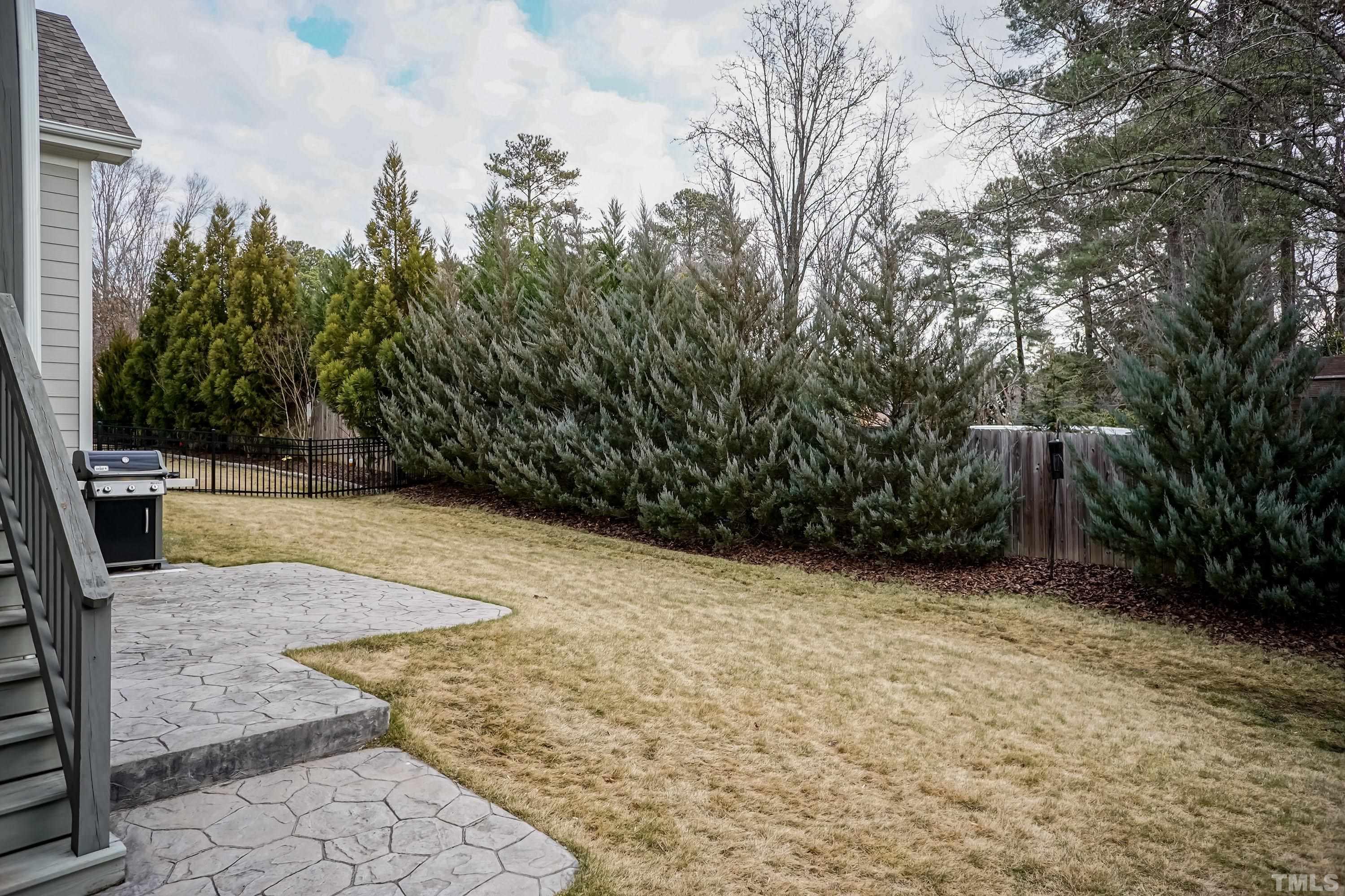 6418 Rosny Road Raleigh, NC 27613 - Photo 48 of 52 a view of backyard with large trees