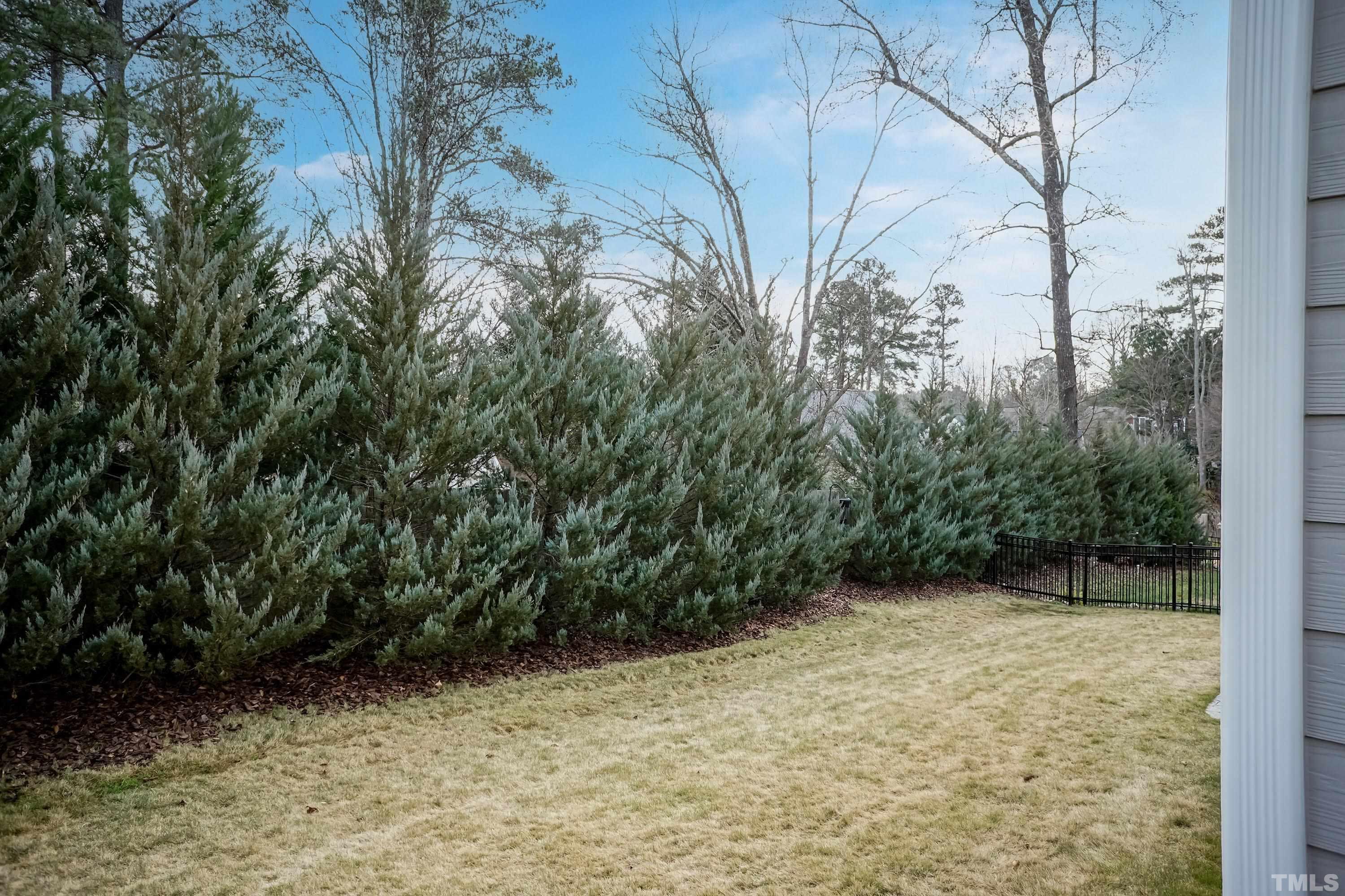 6418 Rosny Road Raleigh, NC 27613 - Photo 50 of 52 a view of backyard with green space