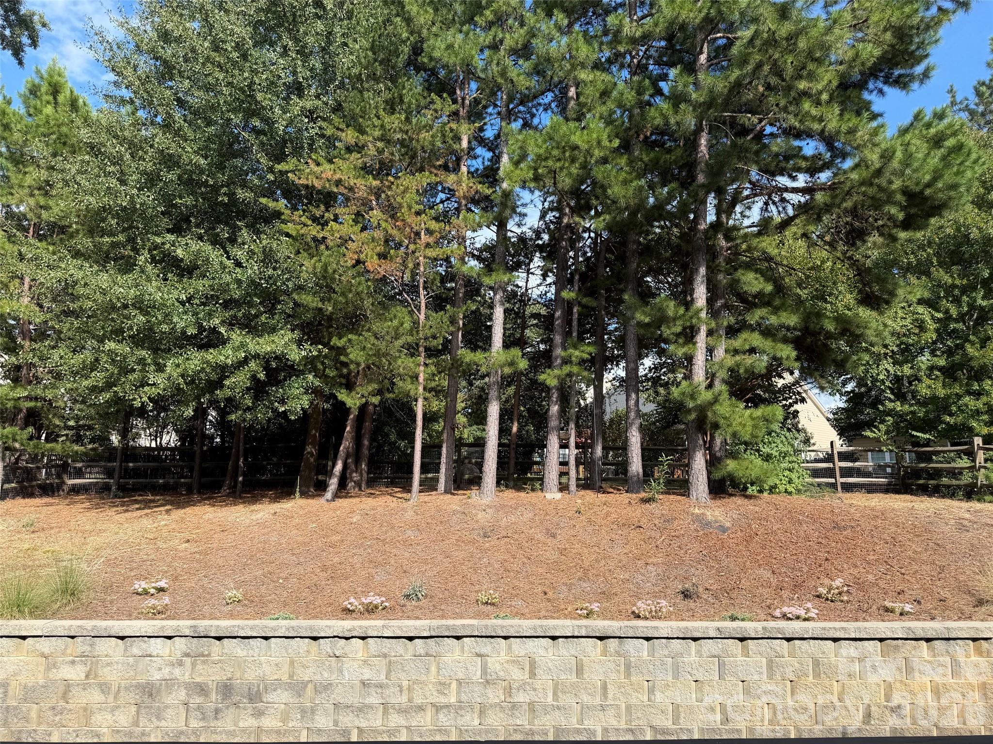 9415 Segundo Lane Charlotte, NC 28278 - Photo 27 of 28 Gallery Image 27