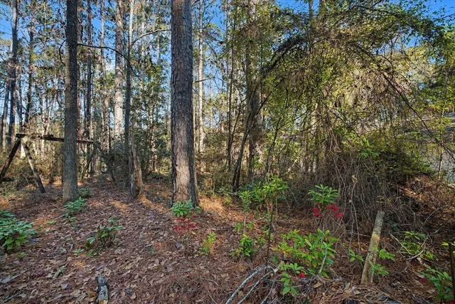 $349,000 | 10564 Lake Iamonia Drive, Tallahassee, FL 32312