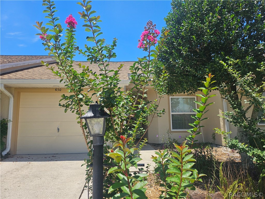 650 West Diamond Bird Loop Hernando, FL 34442 - Photo 2 of 26 Front with Beautiful Crepe Myrtle in Bloom