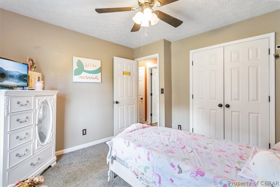 281 Borum Creek Road Susan, VA 23163 - Photo 17 of 33