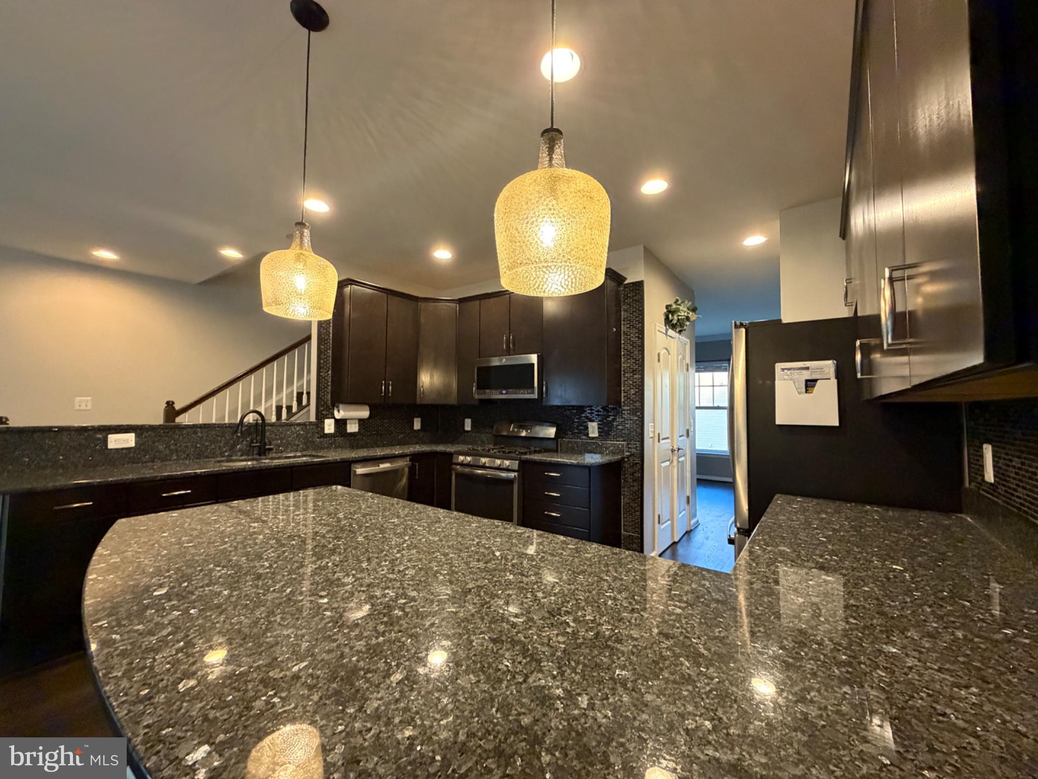 25333 Wakestone Terrace Chantilly, VA 20152 - Photo 103 of 109 Sleek kitchen with modern elegance.