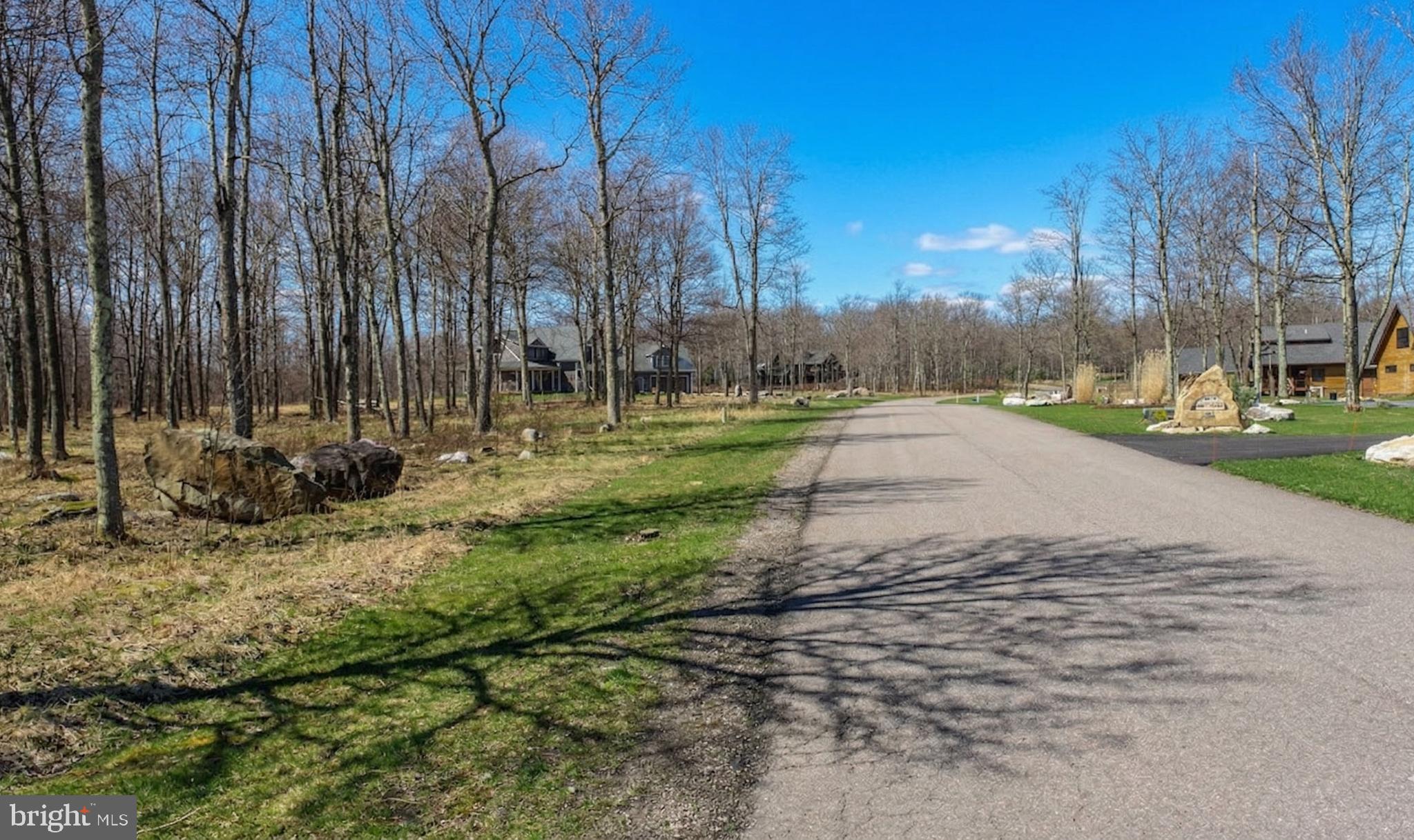 Lot 54 Biltmore Ridge Trail McHenry, MD 21541 - Photo 5 of 21 a view of a park with large trees