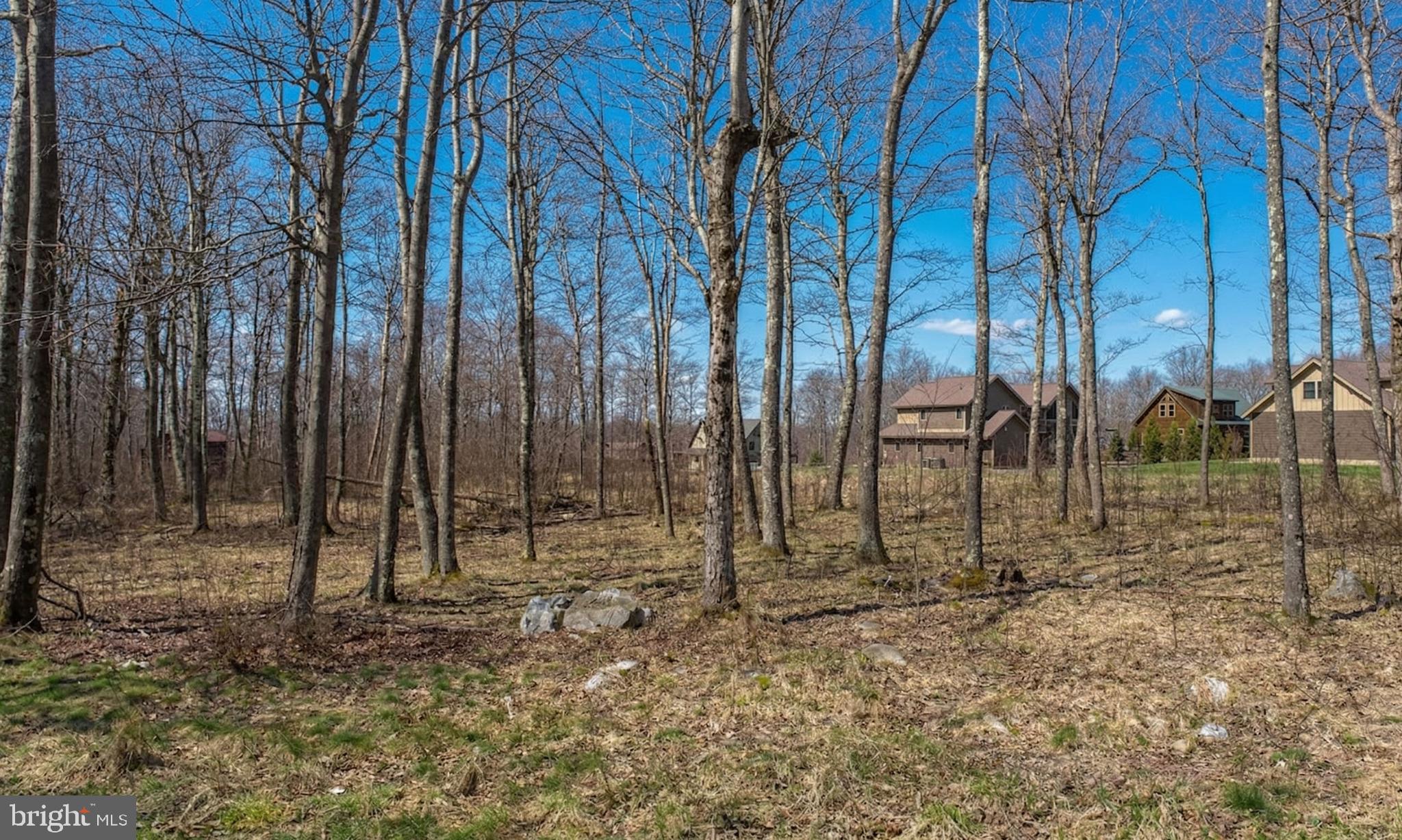 Lot 54 Biltmore Ridge Trail McHenry, MD 21541 - Photo 6 of 21 a view of outdoor space with lots of trees