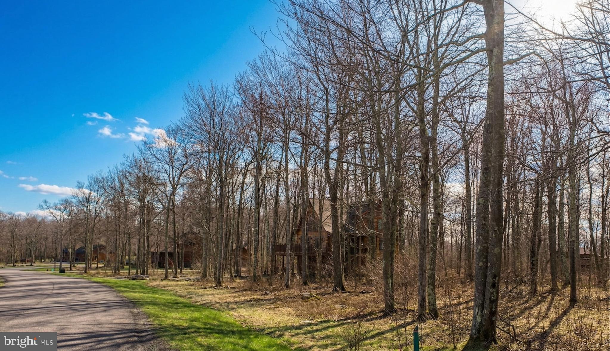 Lot 54 Biltmore Ridge Trail McHenry, MD 21541 - Photo 7 of 21 a view of outdoor space with trees