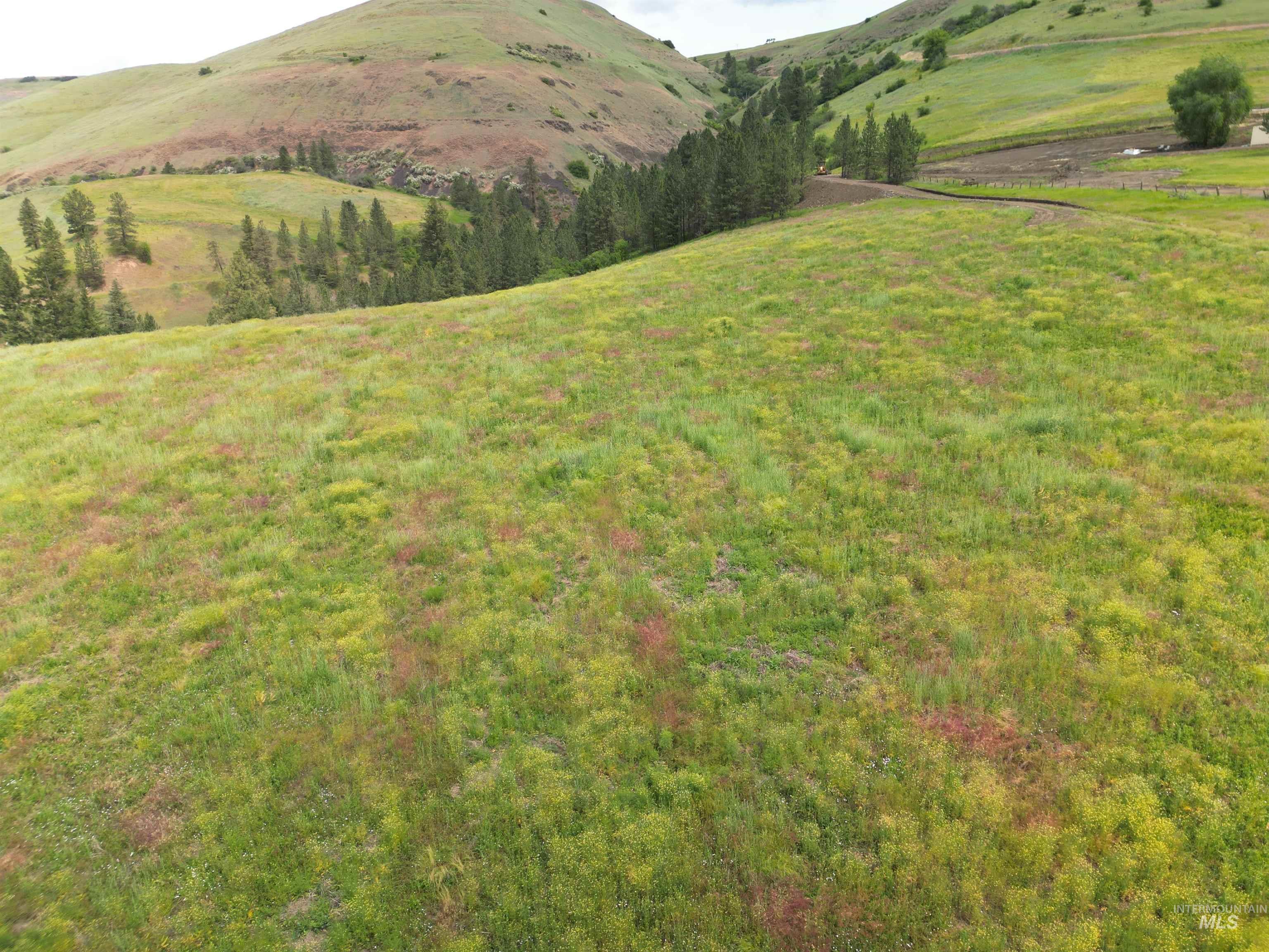 0 American Ridge Road Kendrick, ID 83537 - Photo 15 of 21
