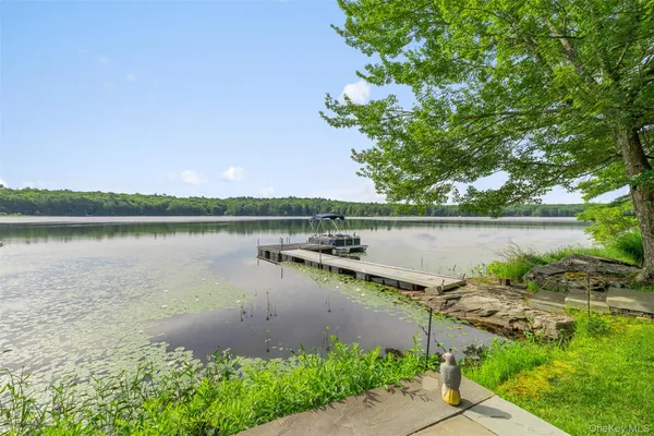 a view of a lake with houses in the back