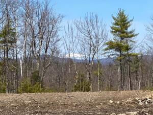 7 Macie Drive Standish, ME 04084 - Photo 9 of 12 Mountain View from Macie Drive