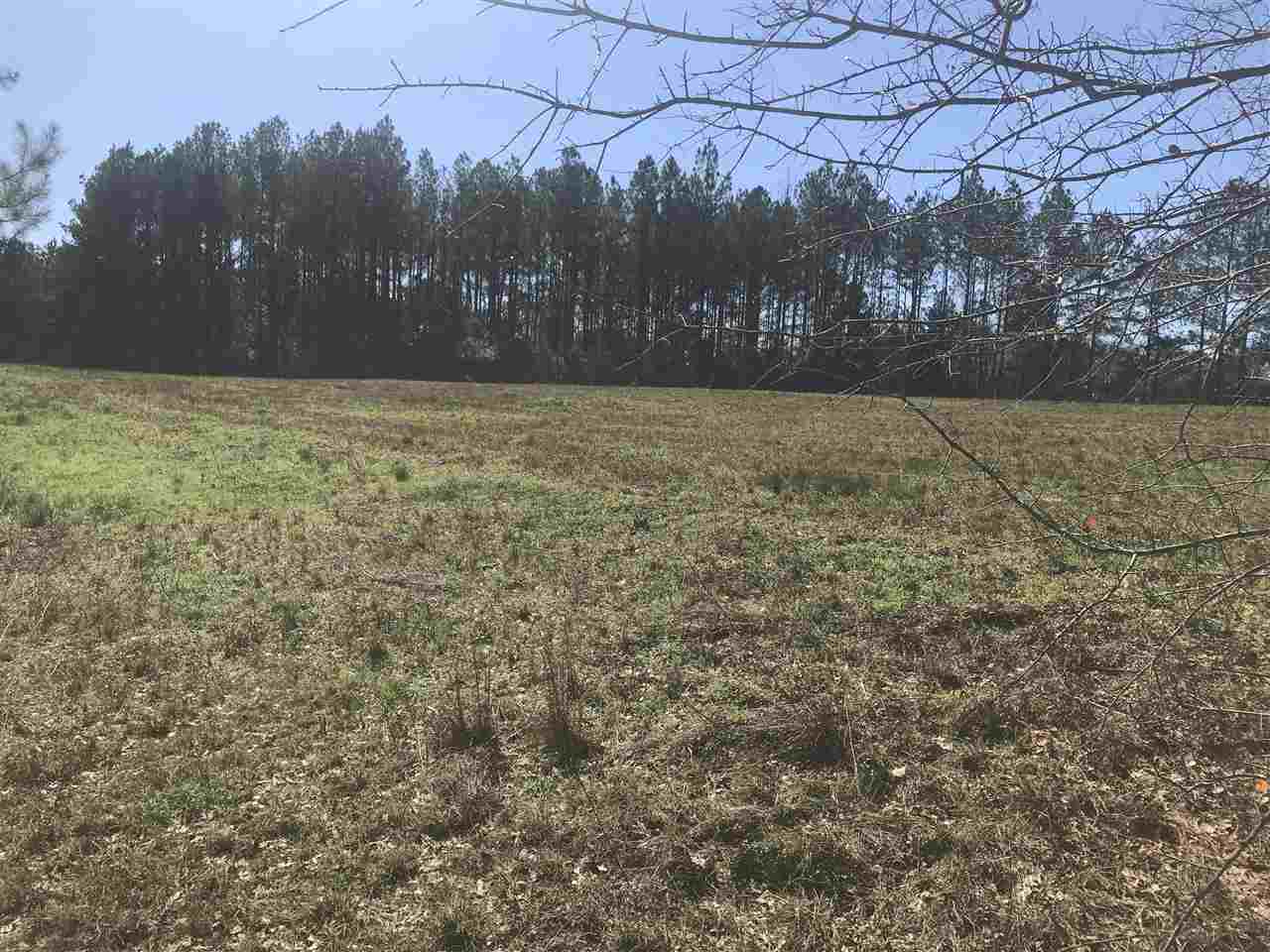 17904 Cliff Meredith Road Andalusia, AL 36420 - Photo 1 of 16 Gallery Image 1