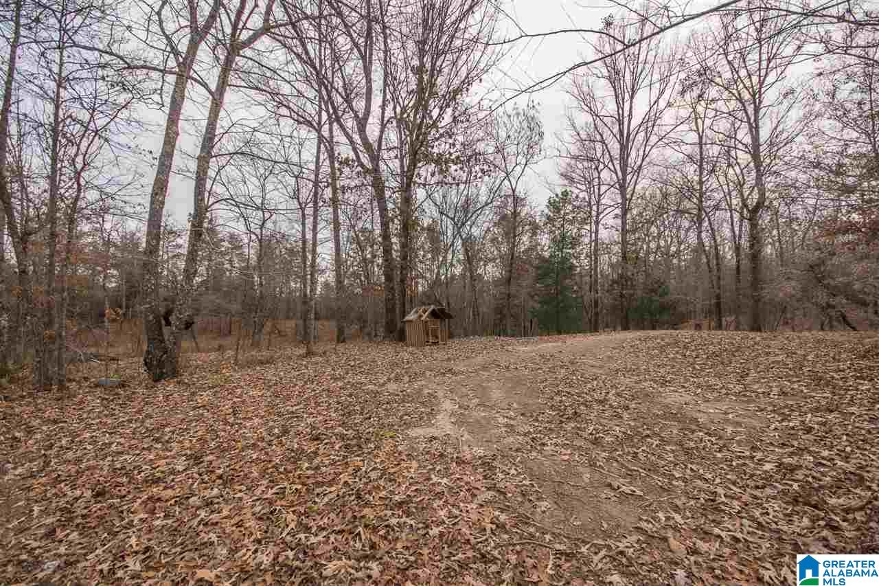 3522 Marvel Road Brierfield, AL 35035 - Photo 33 of 38