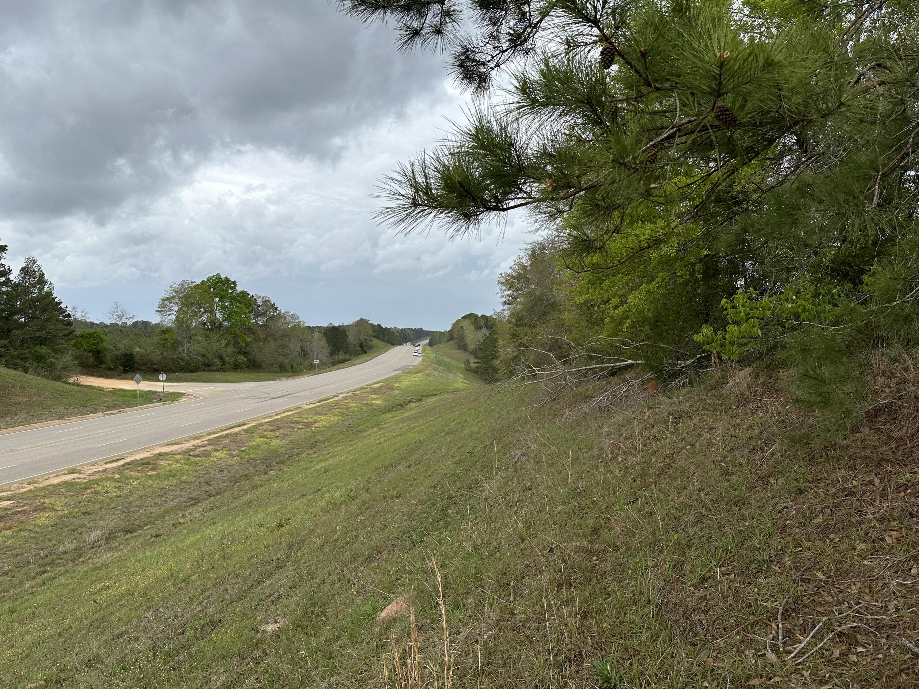 Tract#6103 East Tract Road Red Level, AL 36474 - Photo 3 of 7 a view of lake with green space