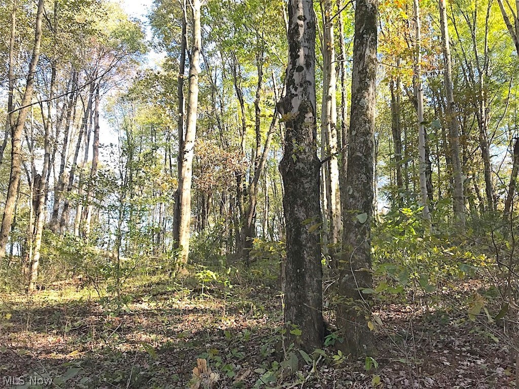 Timber Rock Road Lore City, OH 43755 - Photo 11 of 35