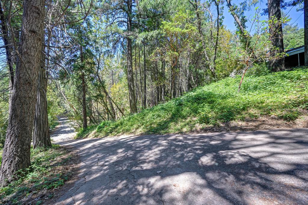 2585 Crystal Springs Road Camino, CA 95709 - Photo 14 of 89