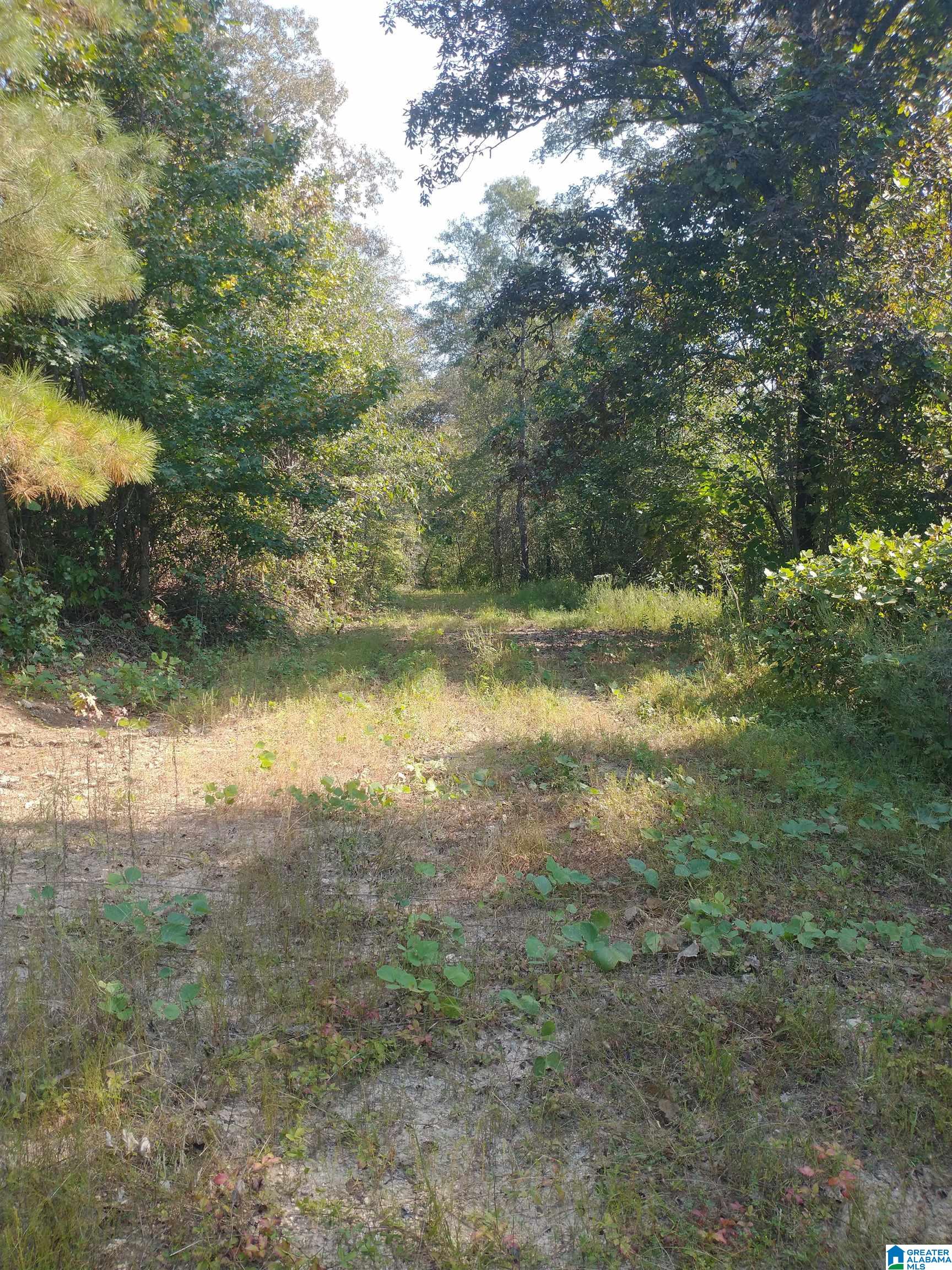 8100 Mckesie Street, Unit 81 ACRES Riverside, AL 35135 - Photo 10 of 18