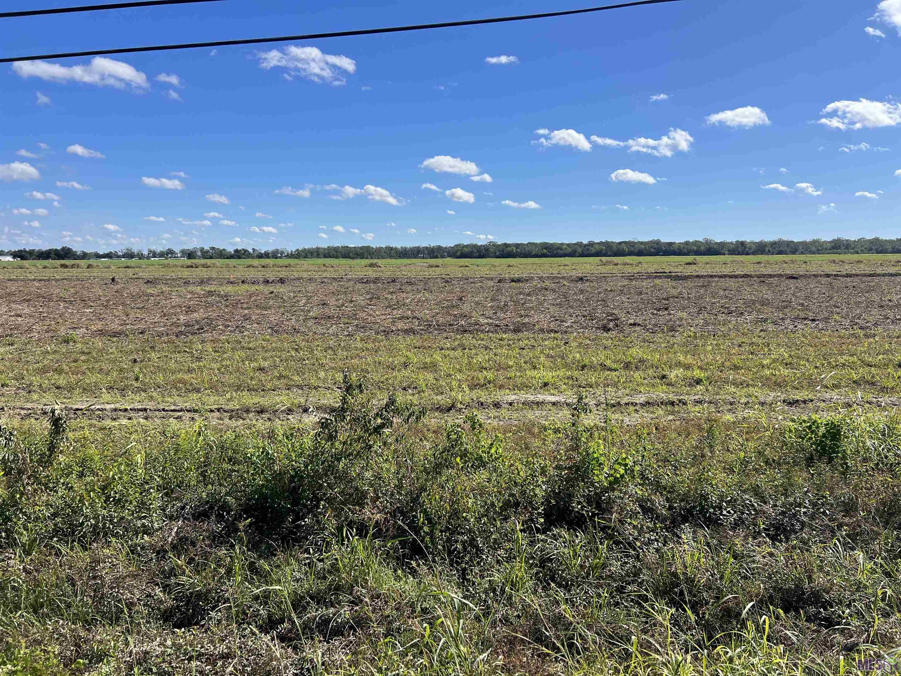 2 B Brule Guillot Road Thibodaux, LA 70301 - Photo 1 of 2 Gallery Image 1