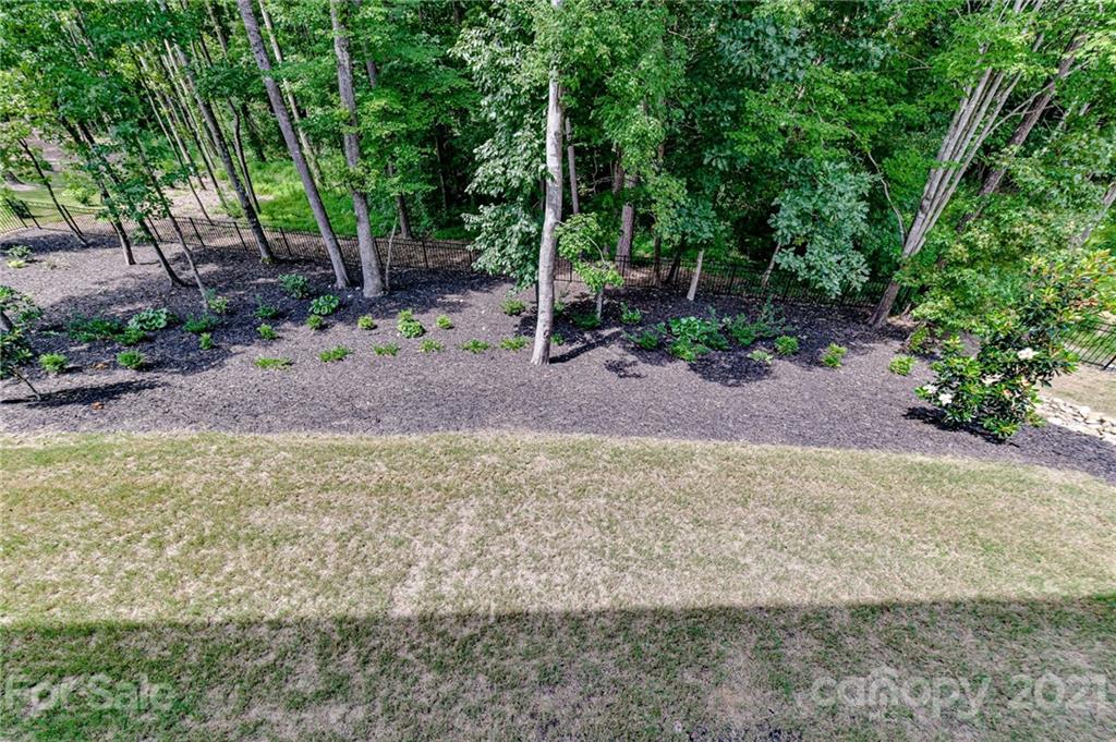 2756 Collaroy Road Waxhaw, NC 28173 - Photo 47 of 48 a view of a backyard with large trees