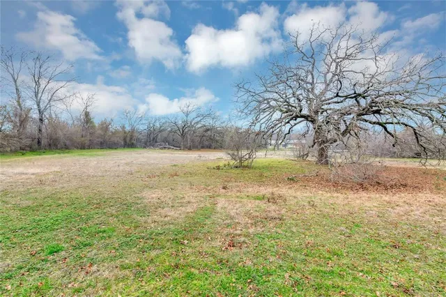 a house that has a tree in front of it