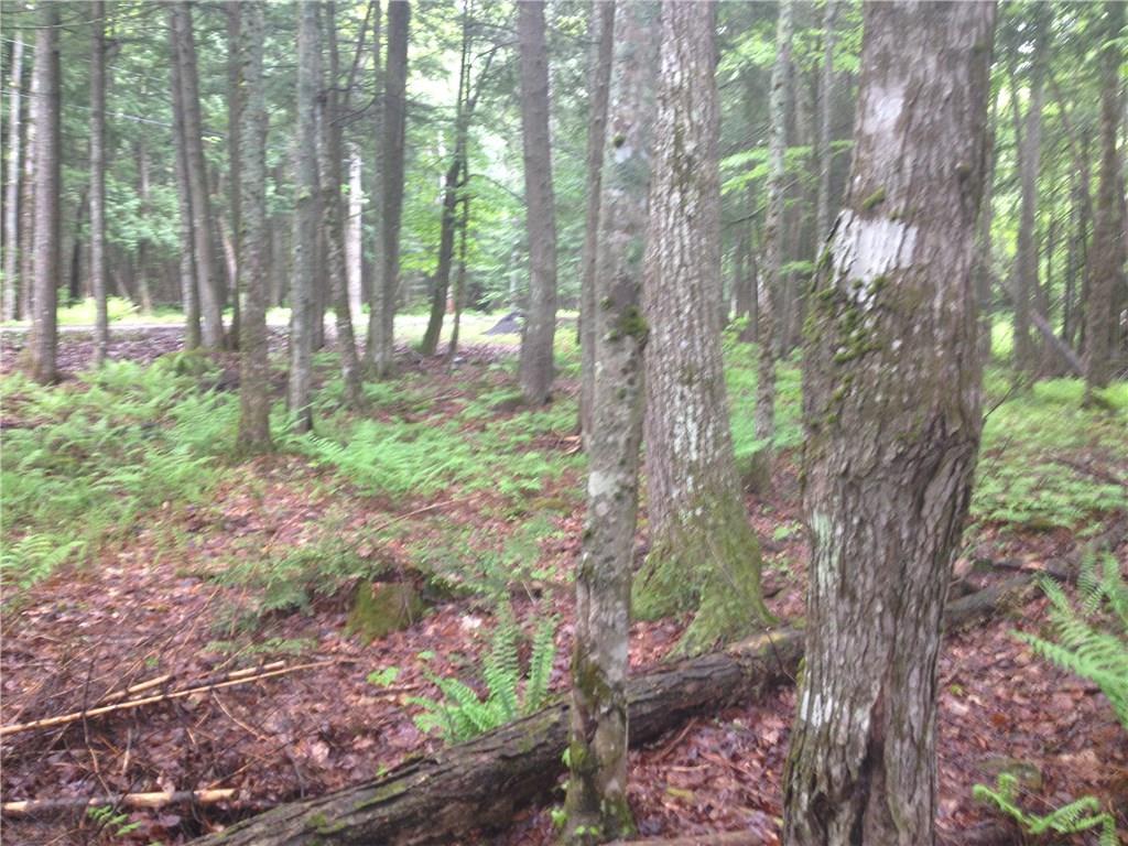 66 Deer Run Lane Ripley, ME 04930 - Photo 12 of 20 Photo