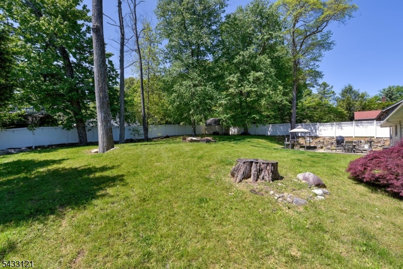 77 Marion Avenue Butler, NJ 07405 - Photo 40 of 46