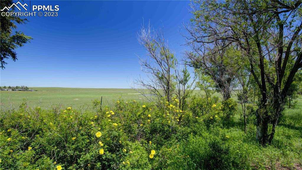 6037 Sengbeil Road Yoder, CO 80864 - Photo 3 of 4 a view of an ocean