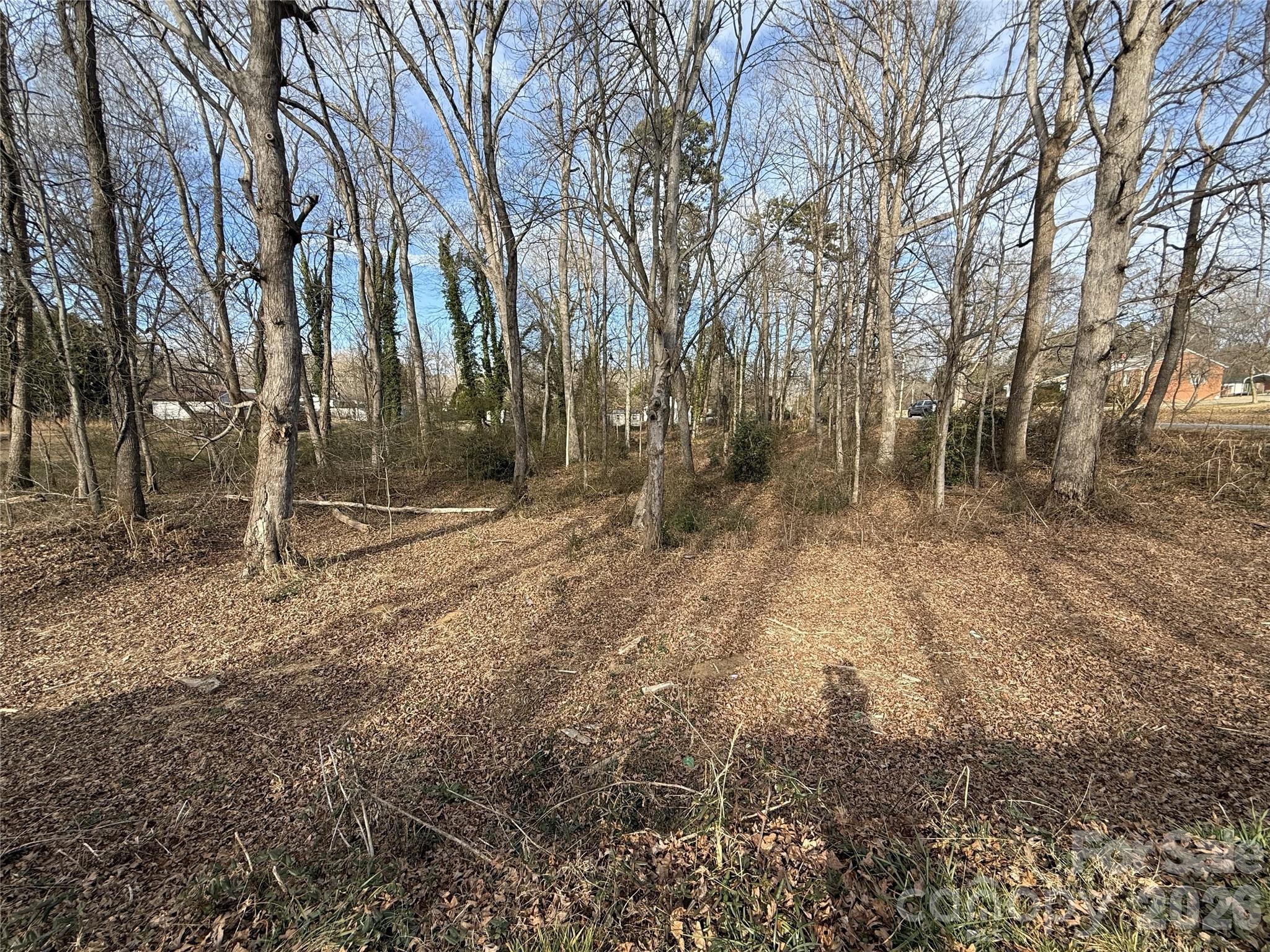 Lot 10-11 Buffalo Shoals Road, Unit 10 Statesville, NC 28677 - Photo 3 of 4