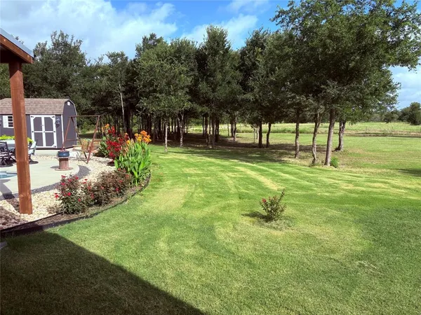 a view of a park with large trees
