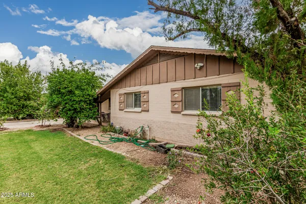 a view of a garden with plants