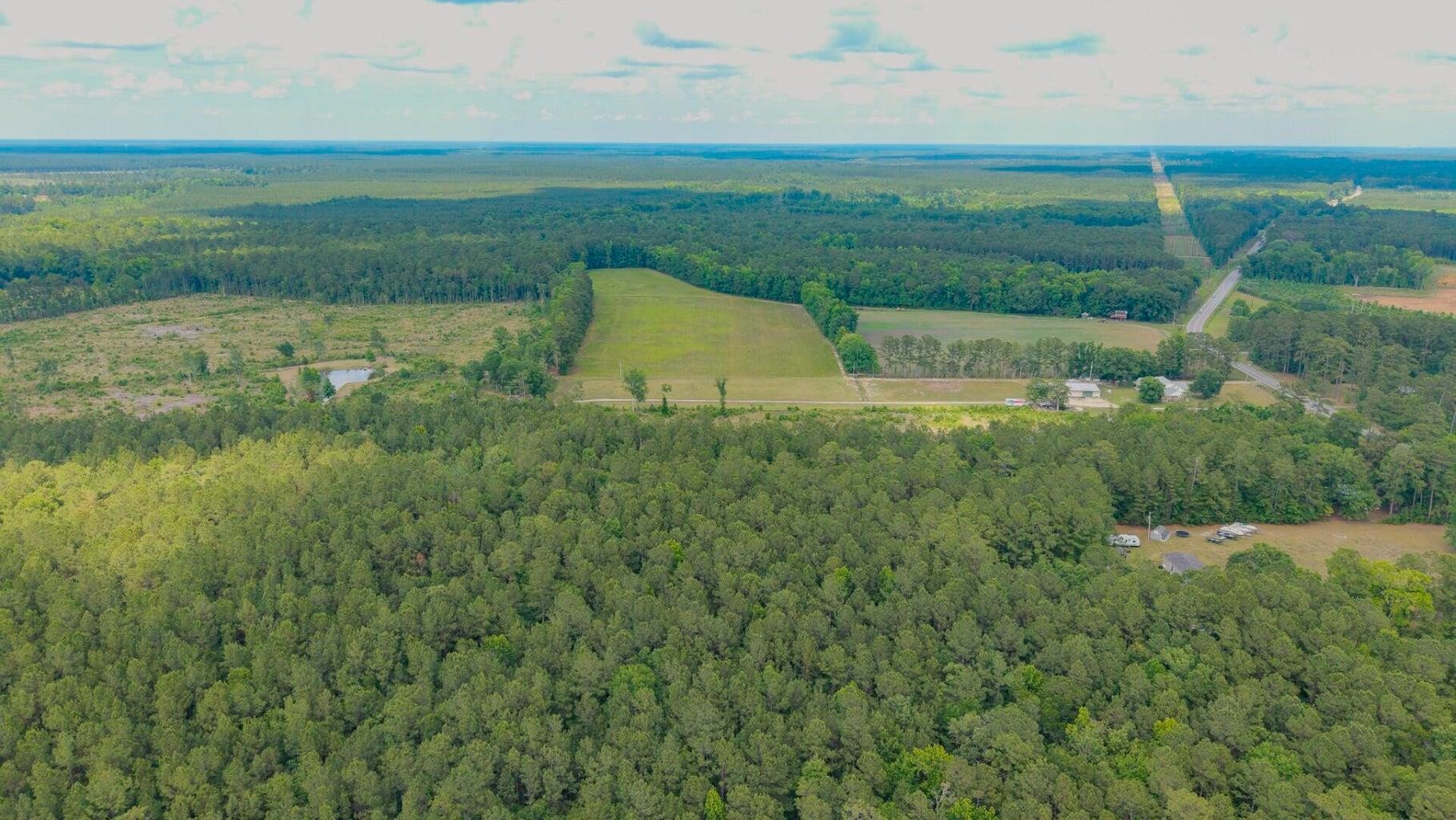 6222 Saints Delight Road Georgetown, SC 29440 - Photo 19 of 27