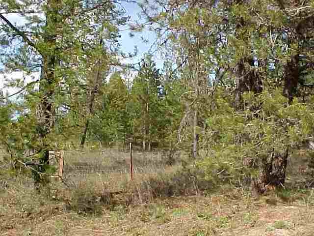 Nna Giddings Road Newport, WA 99156 - Photo 1 of 1 Gallery Image 1
