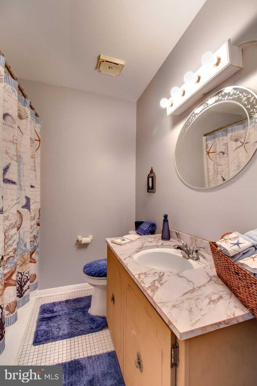 3941 Bayville Road Baltimore, MD 21220 - Photo 23 of 32 a bathroom with a sink a toilet and mirror