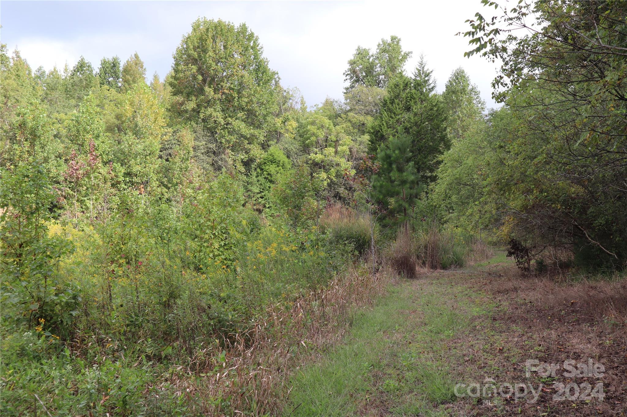 3101 Beatty Road Sherrills Ford, NC 28673 - Photo 13 of 26 Gallery Image 13