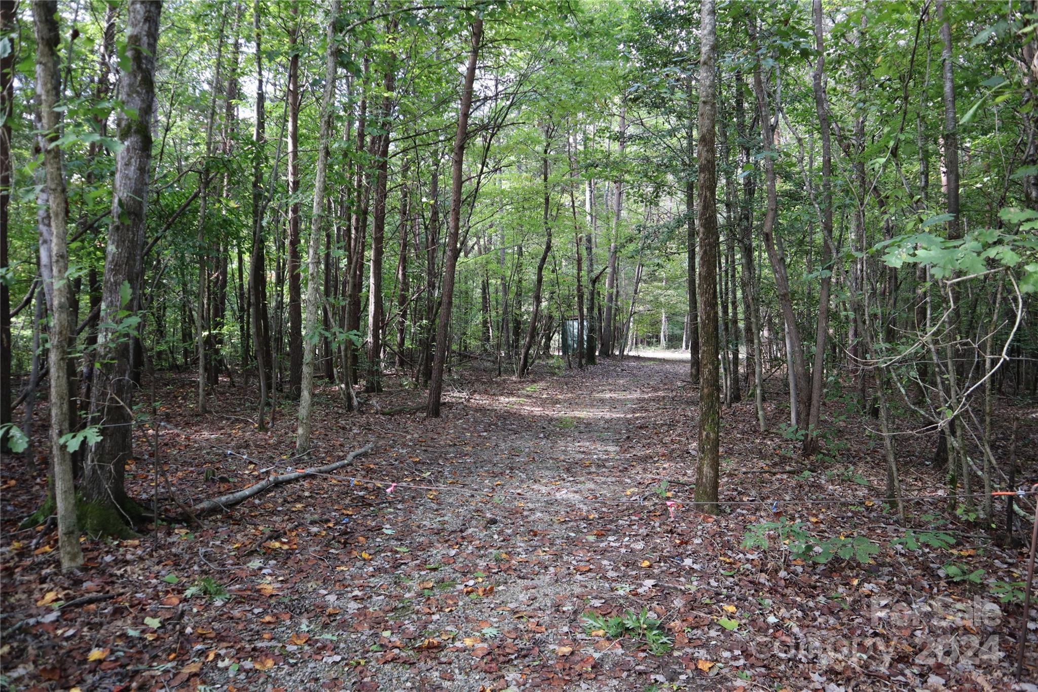 3101 Beatty Road Sherrills Ford, NC 28673 - Photo 4 of 26 Gallery Image 4