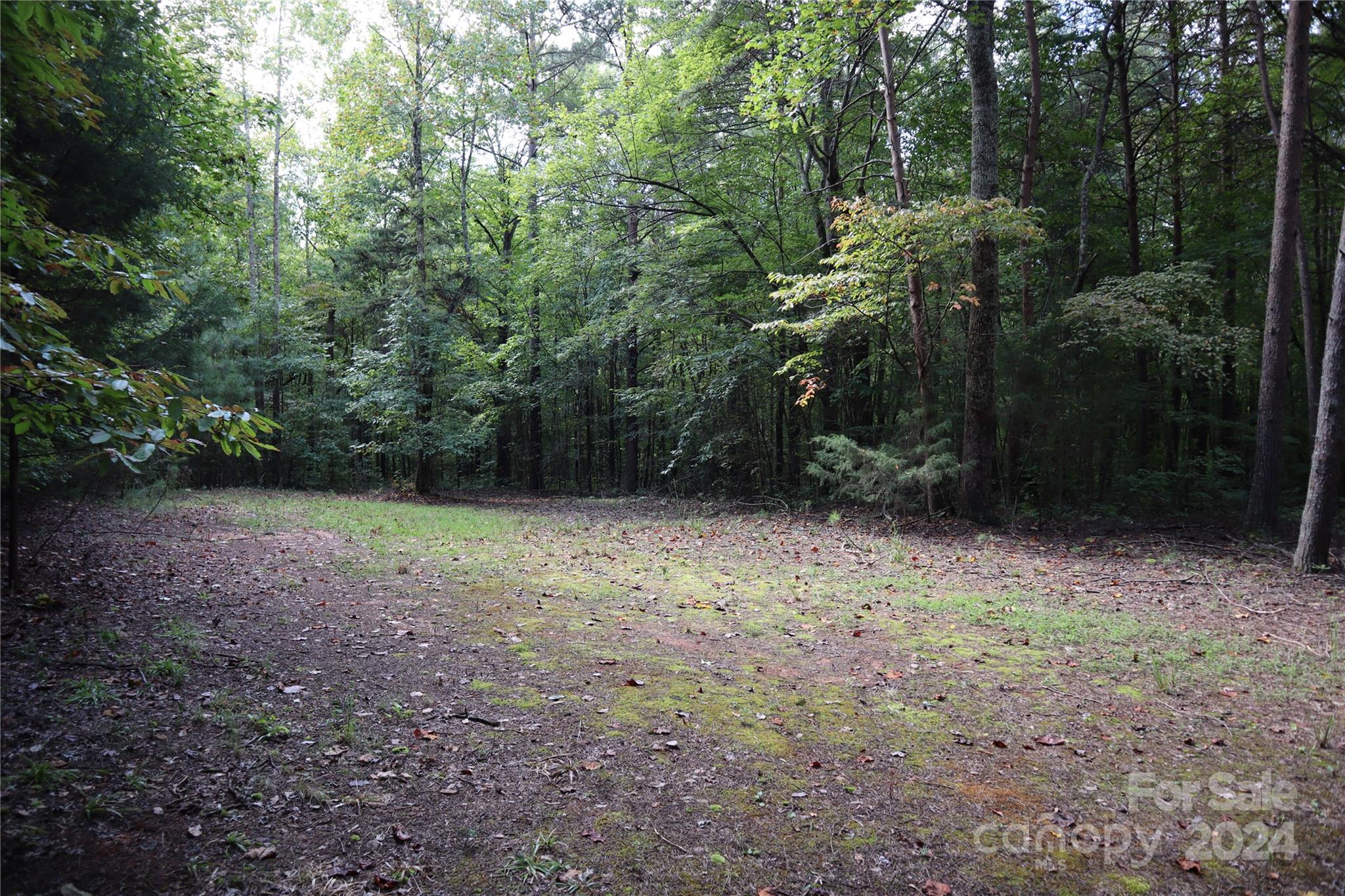 3101 Beatty Road Sherrills Ford, NC 28673 - Photo 5 of 26 Gallery Image 5