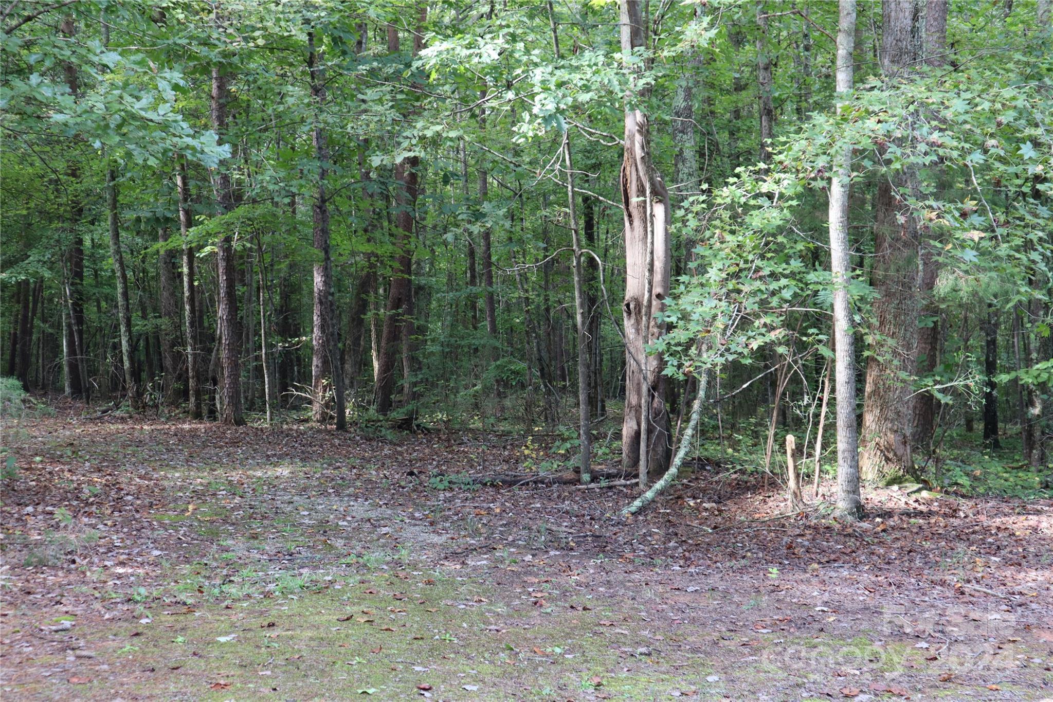 3101 Beatty Road Sherrills Ford, NC 28673 - Photo 8 of 26 Gallery Image 8