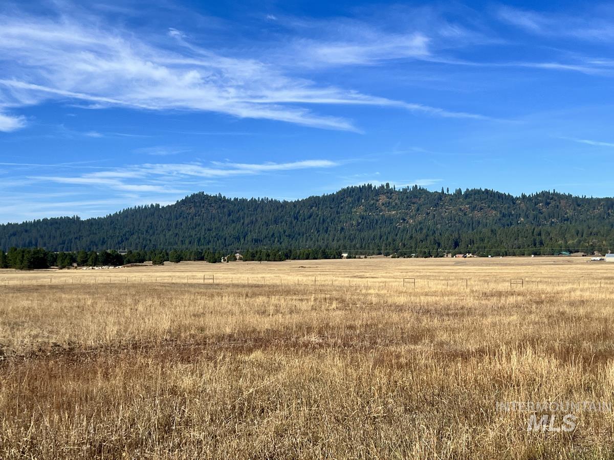 L10 Philadelphia Lane Cascade, ID 83611 - Photo 3 of 11