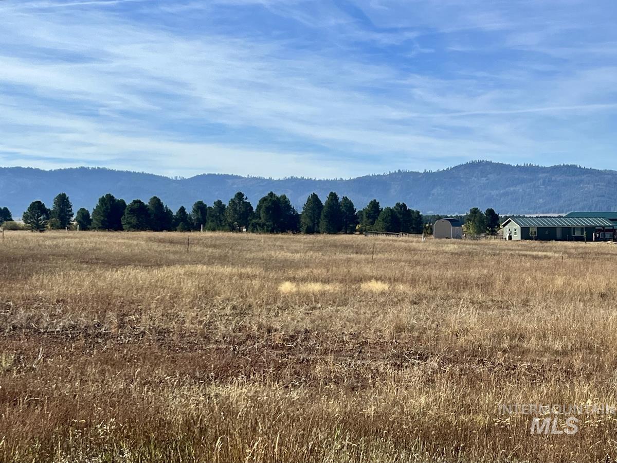 L10 Philadelphia Lane Cascade, ID 83611 - Photo 6 of 11