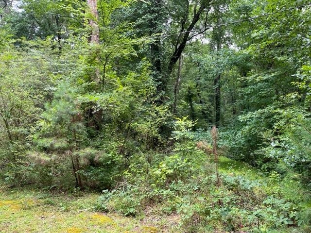 984 Marthas Chapel Road Apex, NC 27523 - Photo 22 of 27 Photo 22