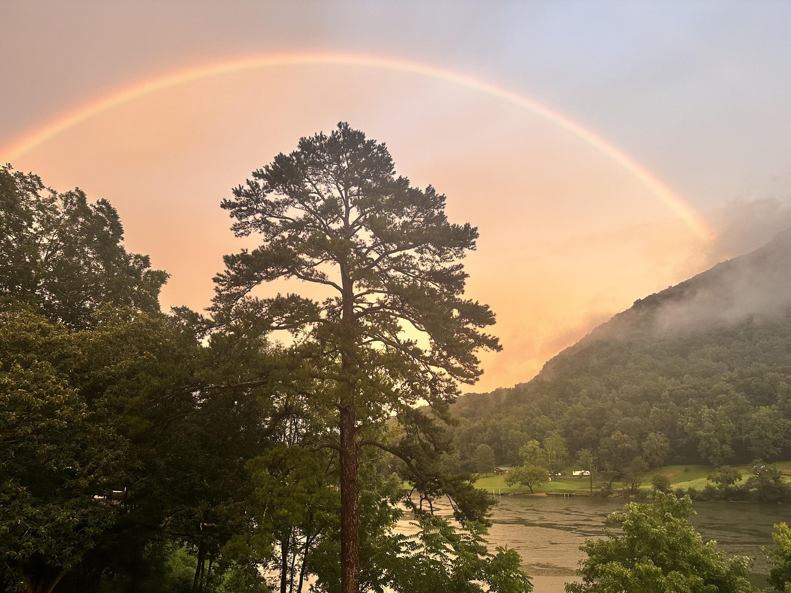 21010 River Canyon Road Chattanooga, TN 37405 - Photo 84 of 98 IMG_5408