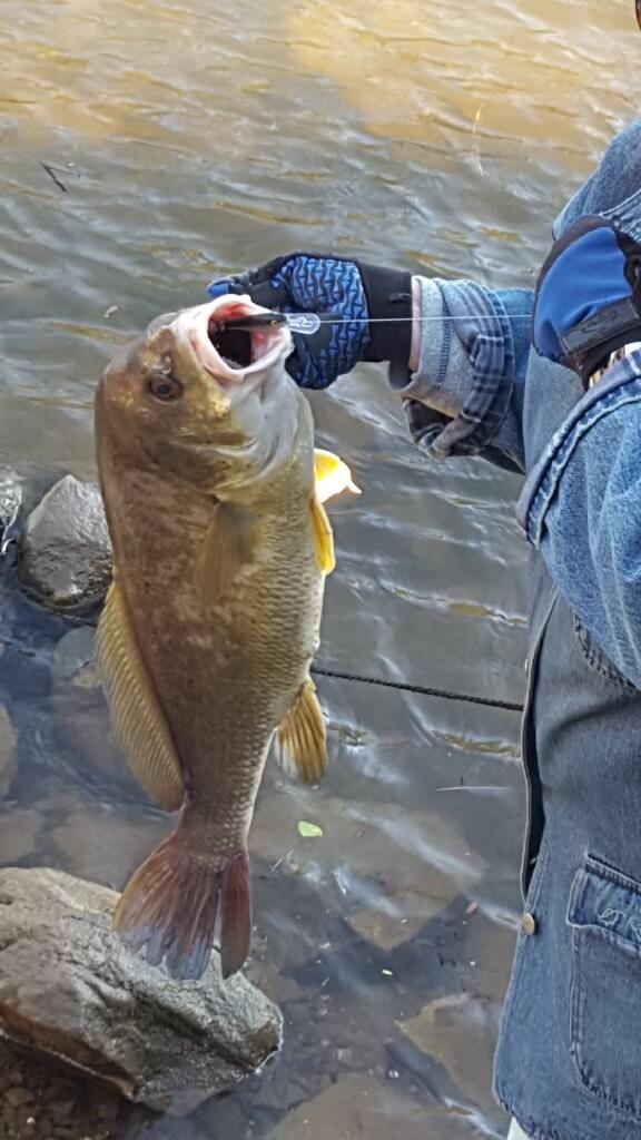 21010 River Canyon Road Chattanooga, TN 37405 - Photo 91 of 98 IMG_7630