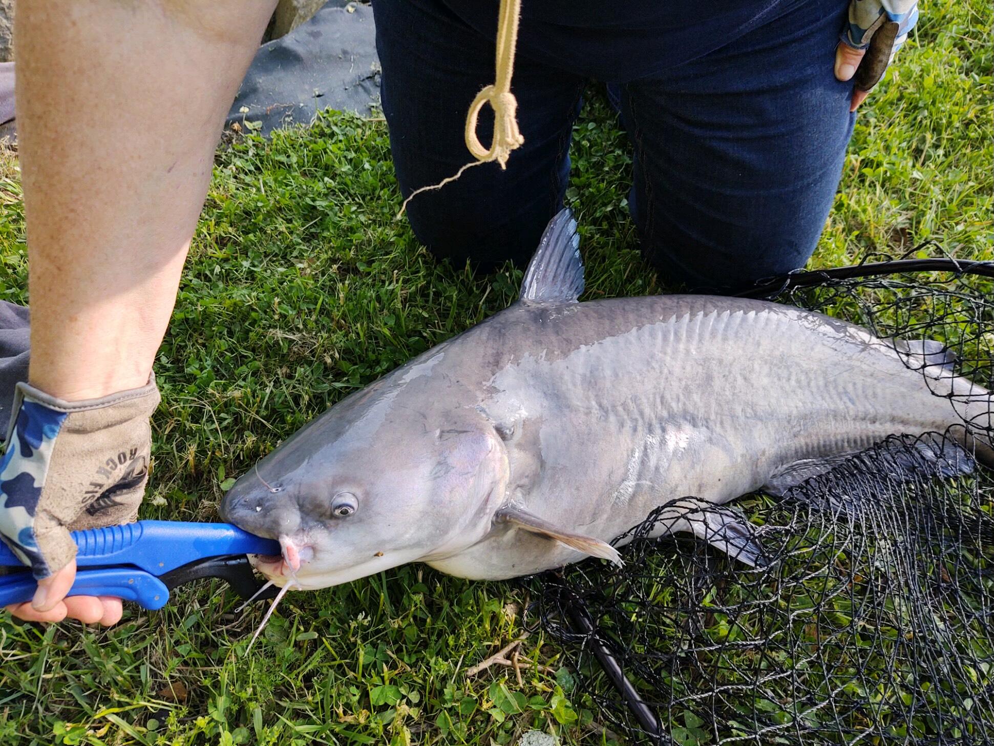 21010 River Canyon Road Chattanooga, TN 37405 - Photo 92 of 98 IMG_1300