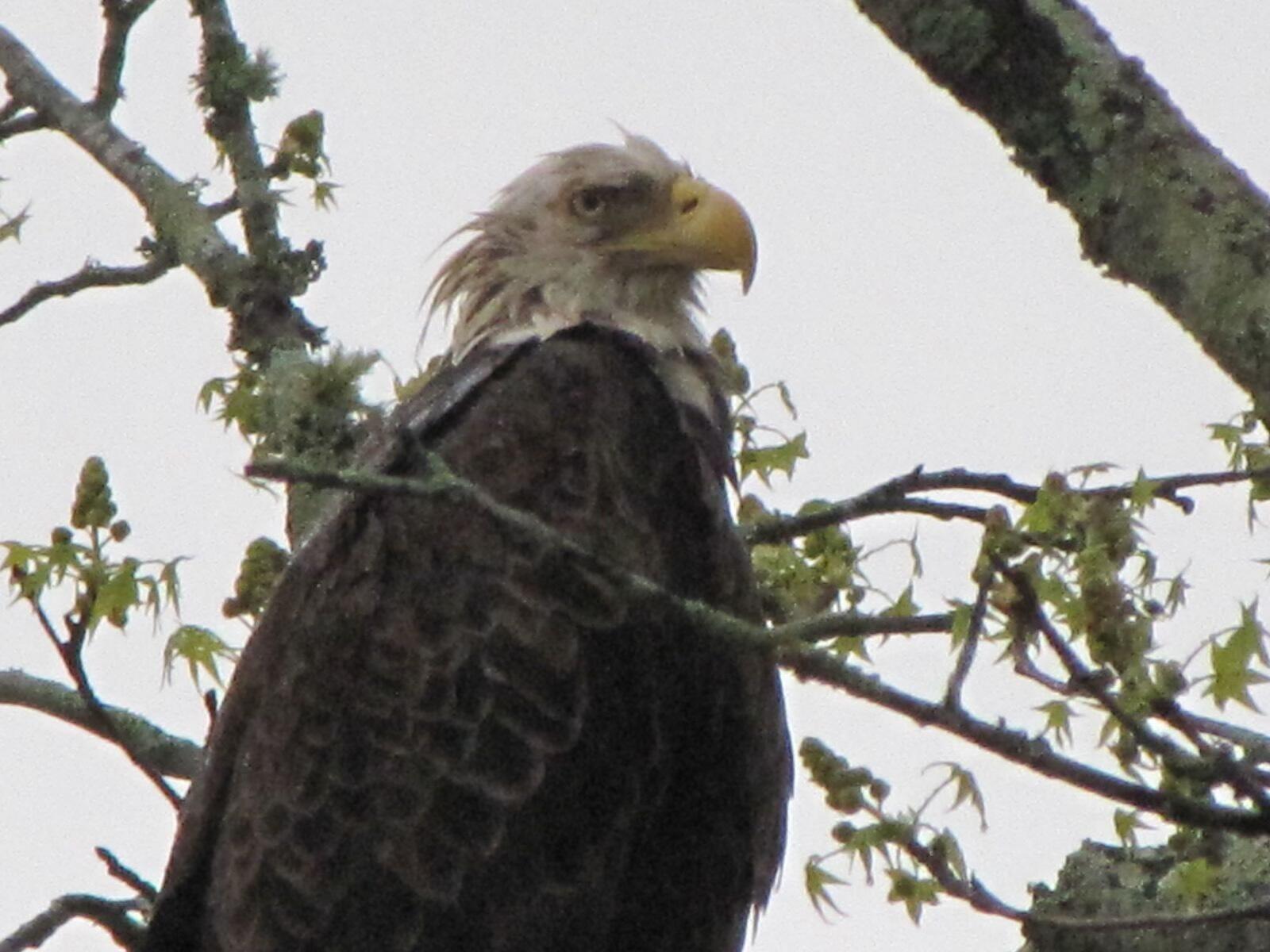 21010 River Canyon Road Chattanooga, TN 37405 - Photo 96 of 98 image000000