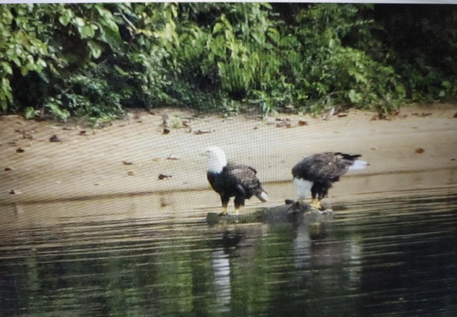 21010 River Canyon Road Chattanooga, TN 37405 - Photo 97 of 98 image000000 (1)