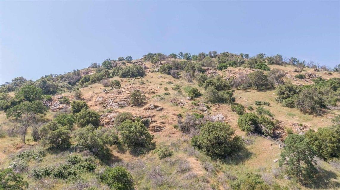 0 Ruth Hill Road Squaw Valley, CA 93675 - Photo 13 of 31